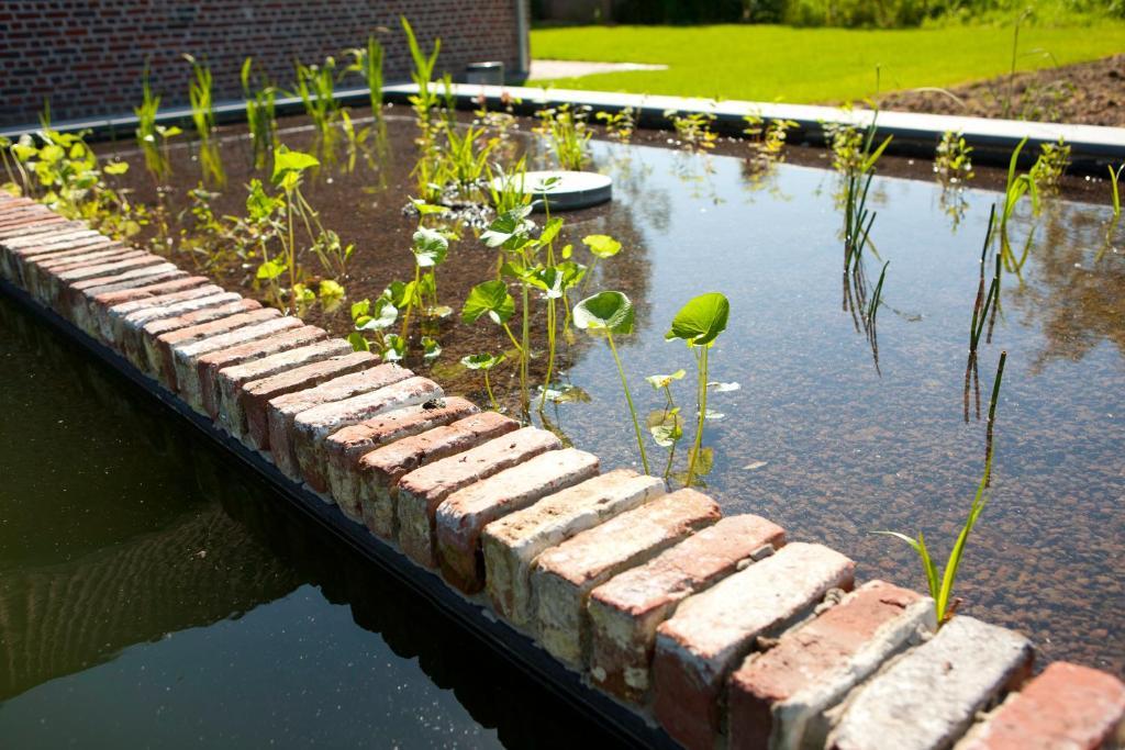 B&B De Deugdzonde Sint-Denijs ภายนอก รูปภาพ