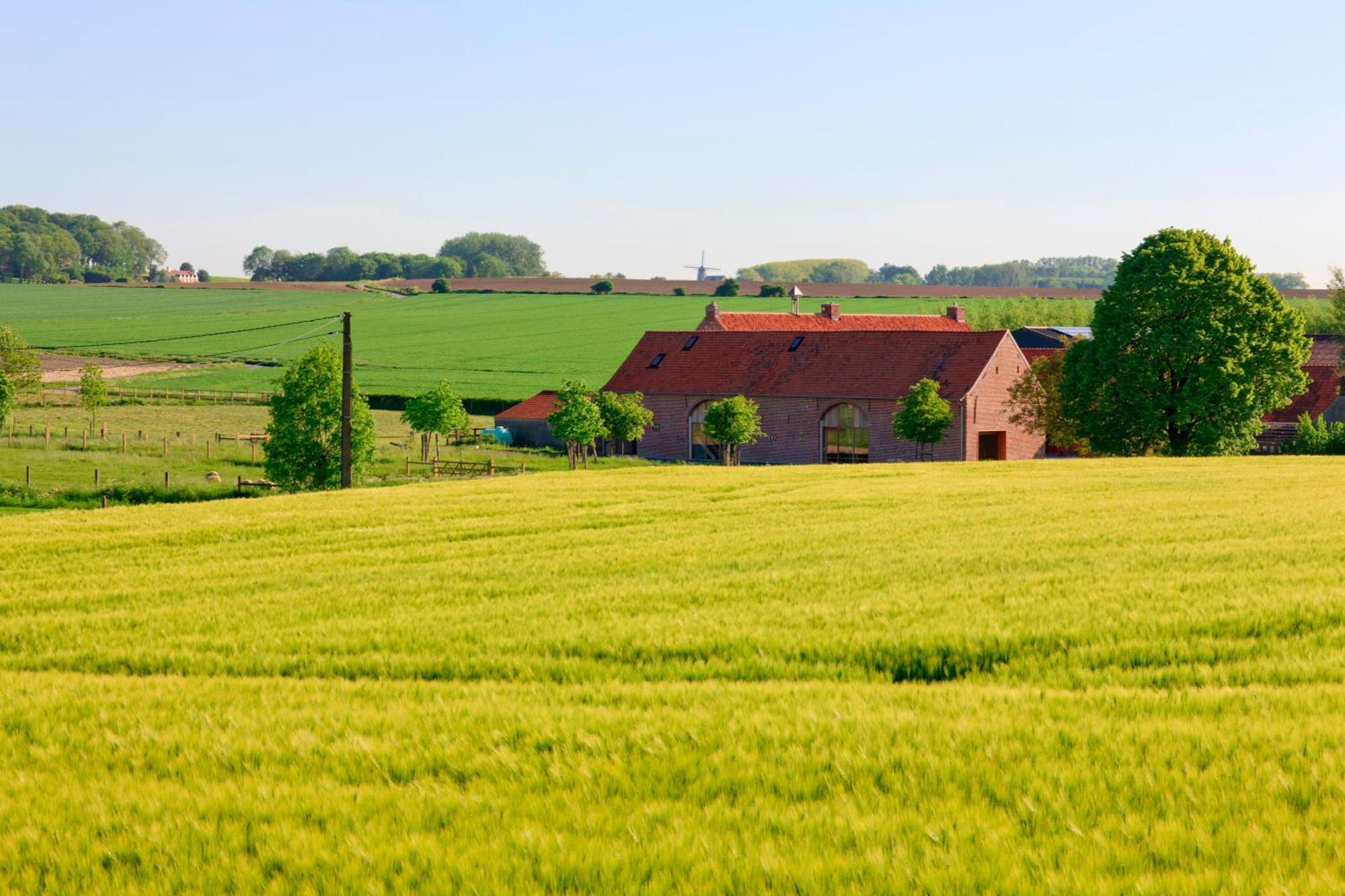 B&B De Deugdzonde Sint-Denijs ภายนอก รูปภาพ