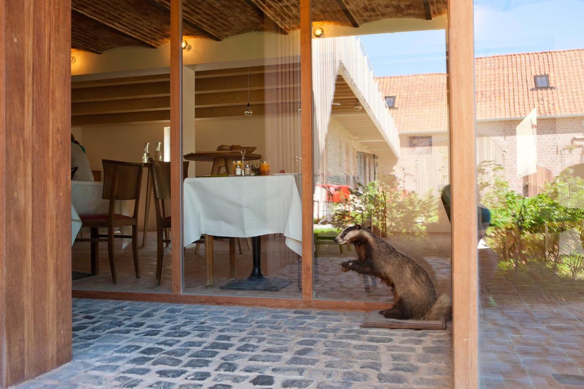 B&B De Deugdzonde Sint-Denijs ภายนอก รูปภาพ